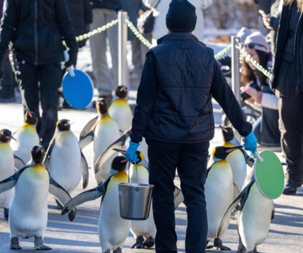 activity_detail_image