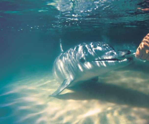 activity_detail_image