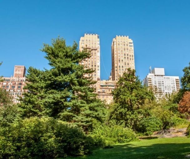 activity_detail_image