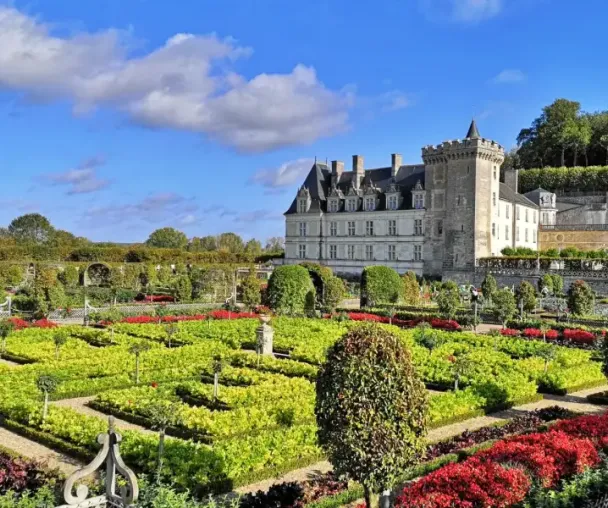 activity_detail_image