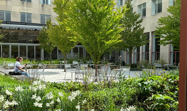 [타미스] 한국인 재학생이 함께 하는 보스턴 MIT 대학교 워킹 투어