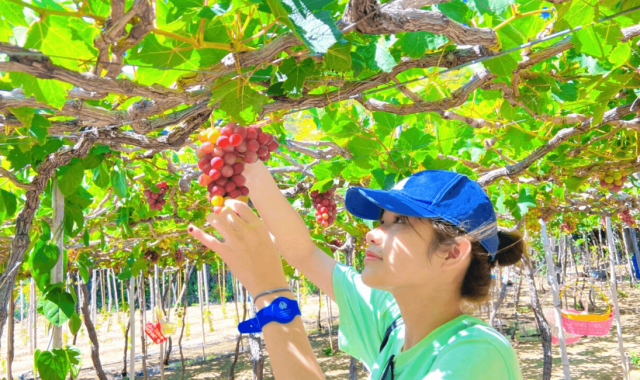 하노이 씨클로 랜드마크 투어