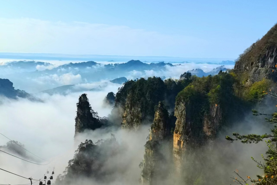 장가계 칠성산 전망대 & 충산찻집 일일 투어