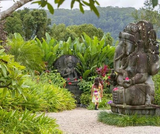 activity_detail_image