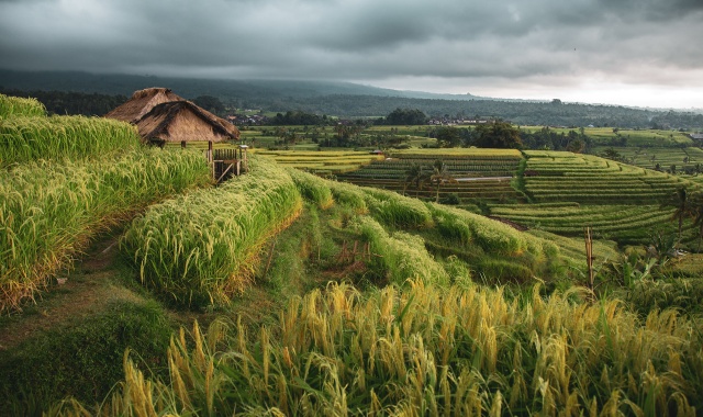 バリ・インスタ映え・オールニュー・ダントクトゥオ