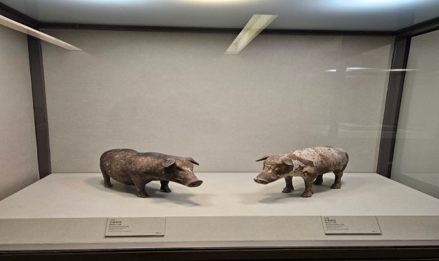 [펀트립] 대만 국립고궁박물원 도슨트 투어