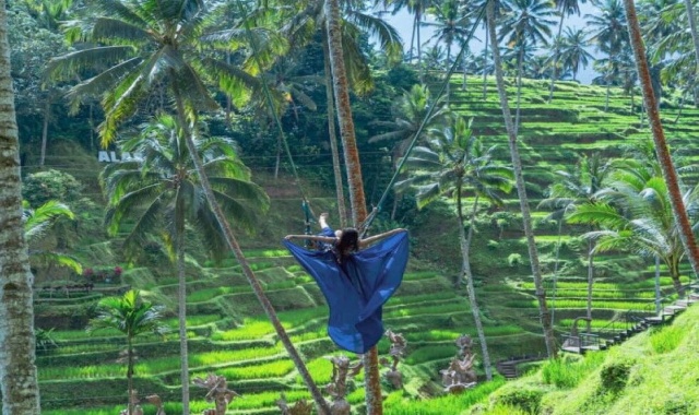 발리 알라스하룸 & 크레티야 투어 (발리 스윙, 점심 식사 포함)