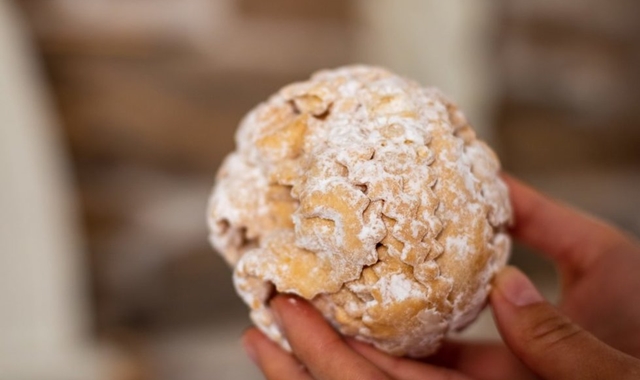 [1박2일] 프라하에서 독일 뉘른베르크 & 로텐부르크 & 카를로비바리 단독 투어 with 후니가이드