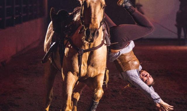 Gold Coast: Australian Outback Spectacular Heartland Dinner Show Ticket