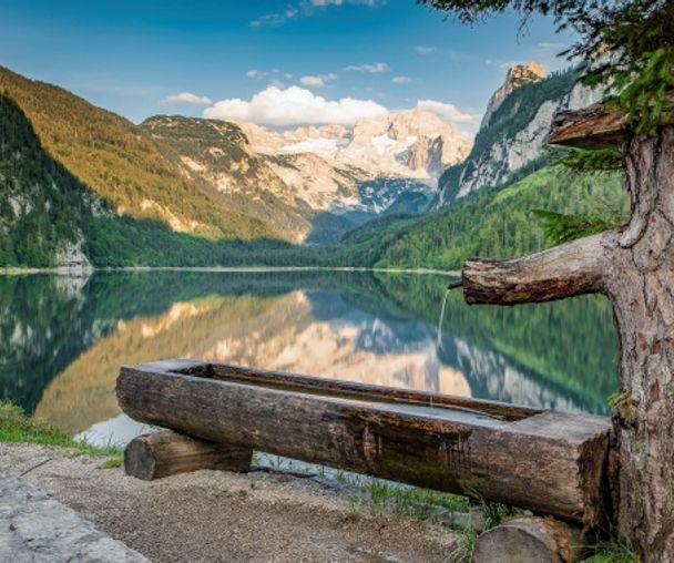 activity_detail_image