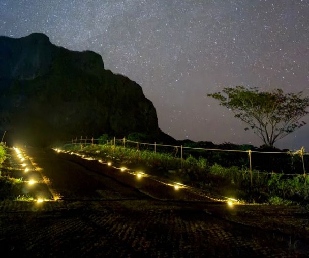 activity_detail_image