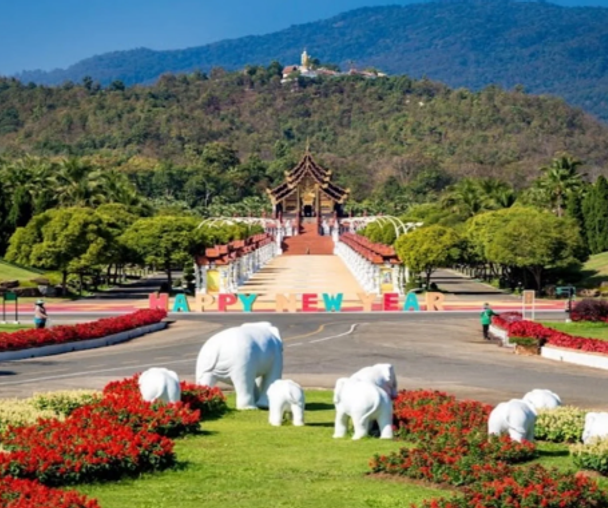 activity_detail_image