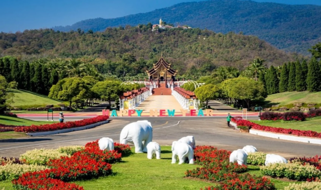 치앙마이 왓수안독 & 로얄파크라차프륵 & 반캉왓 반일 투어