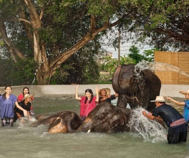 activity_detail_image