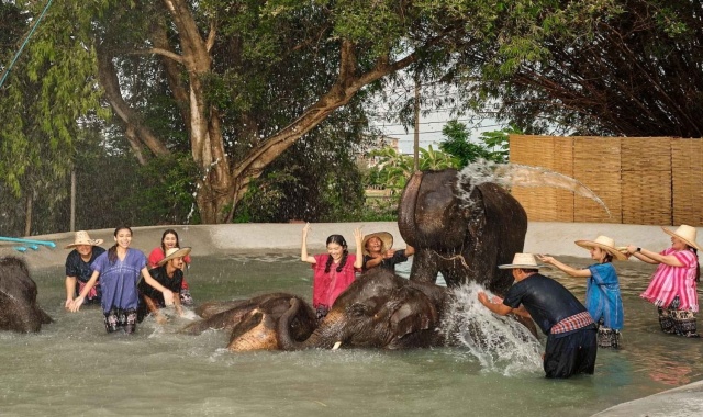 [독점할인] 방콕 엘리펀트 파크 반일 투어