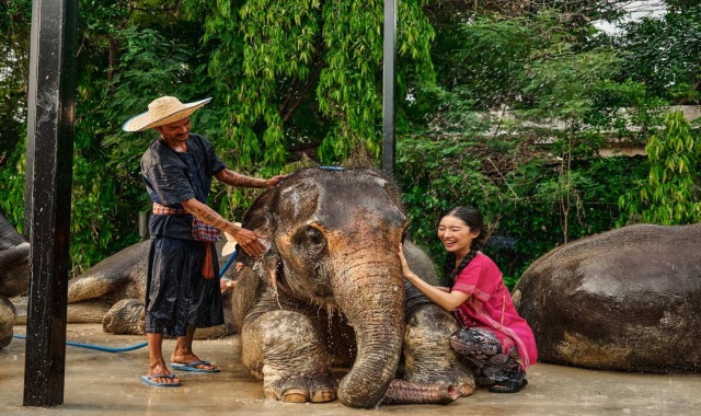 [독점할인] 방콕 엘리펀트 파크 반일 투어
