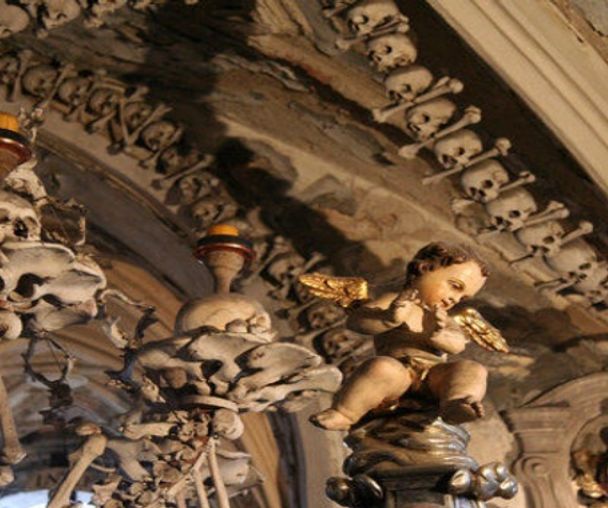 activity_detail_image