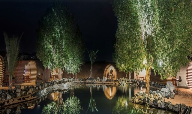 Dubai: Platinum Desert Safari Half Day Tour (with Arabic Course Meal)