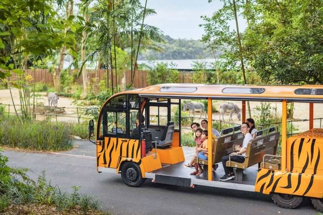 Singapore Zoo & Tram Ticket