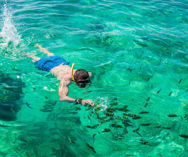 activity_detail_image