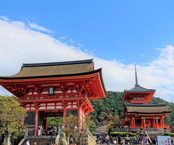 activity_detail_image