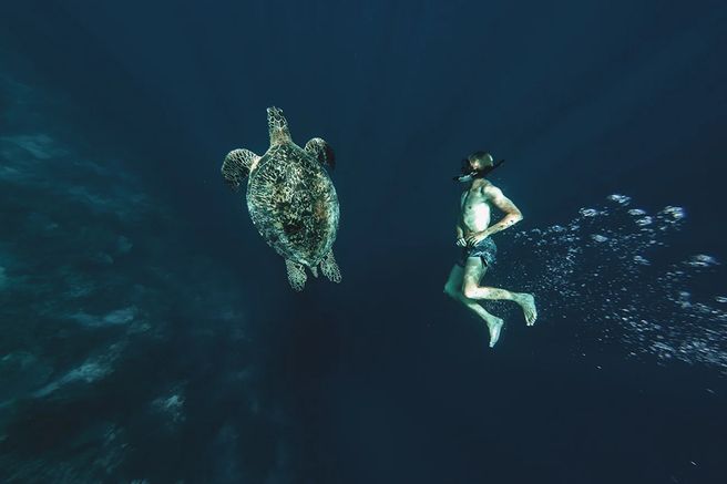 Bohol: Balicasag & Virgin Island Hopping & Snorkeling Private Tour