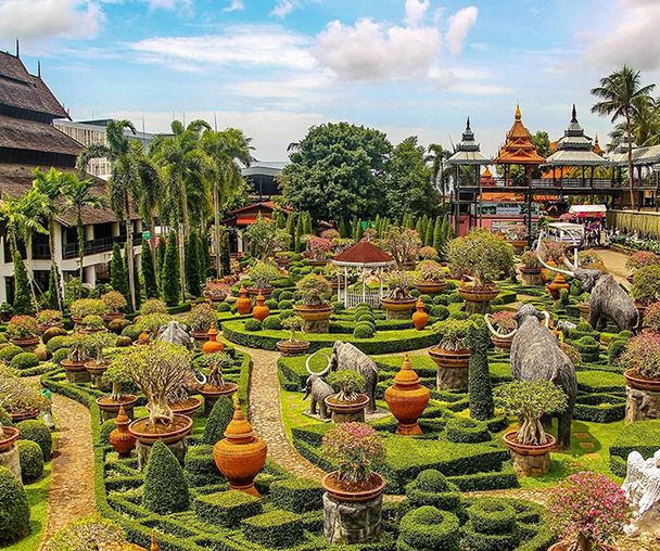 activity_detail_image