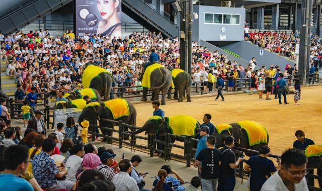 파타야 농눅 빌리지 & 케이브 비치 클럽 단독 반일 투어