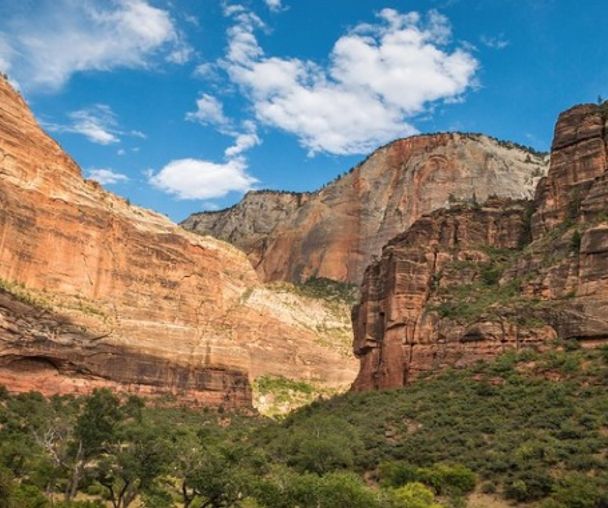 activity_detail_image