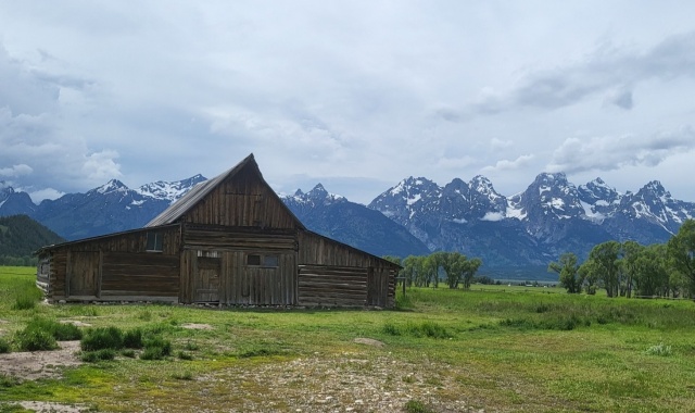 [영투어] [3박4일] 옐로우스톤 파해치기 단독 투어 (호텔 숙박 포함)