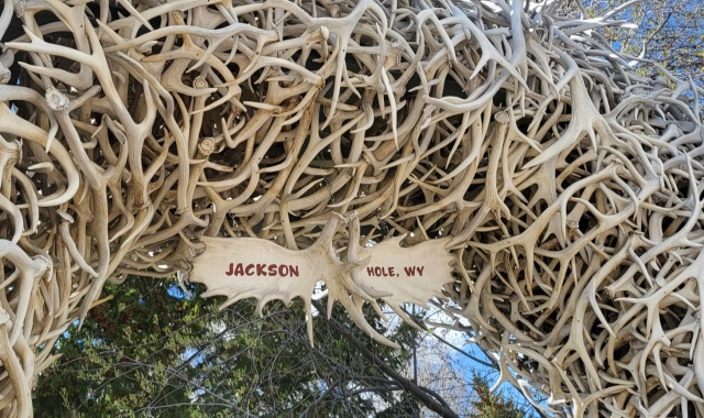 [영투어] [3박4일] 옐로우스톤 파해치기 단독 투어 (호텔 숙박 포함)