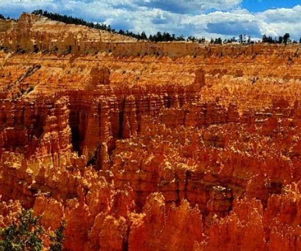 activity_detail_image