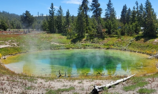 [영투어] [2박3일] 옐로우스톤 국립공원 핵심 투어