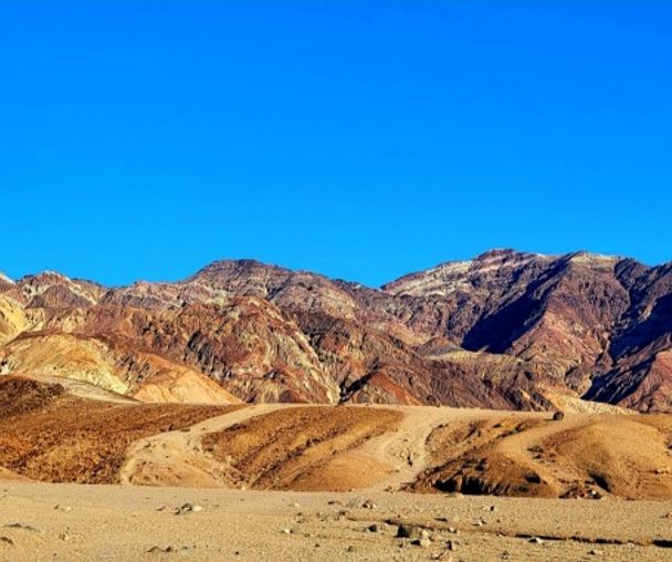 activity_detail_image