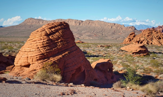 [영투어] 라스베가스 출발: 불의계곡 밸리 오브 파이어 주립 공원 핵심 당일 투어