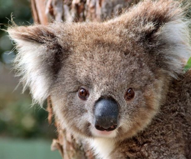 activity_detail_image