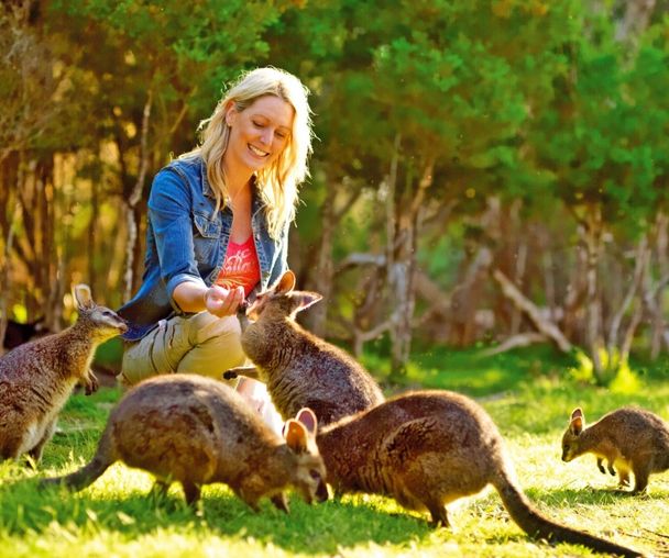 activity_detail_image