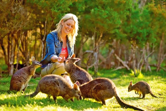 Melbourne Moonlit Sanctuary Wildlife Park Ticket