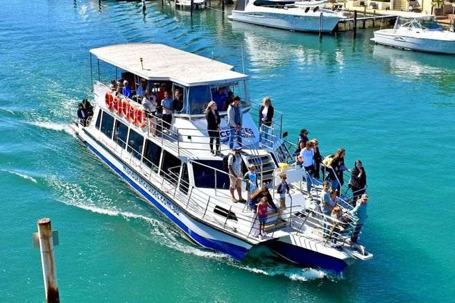 Perth Mandurah Dolphin Cruise