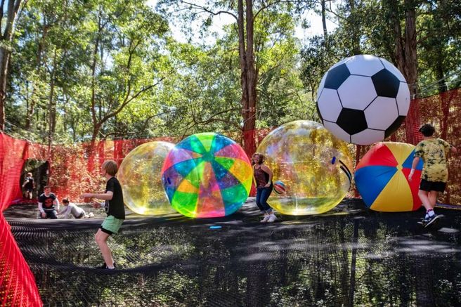 Central Coast Treetops Adventure Experience