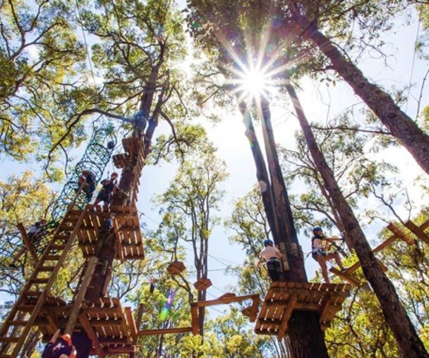 activity_detail_image