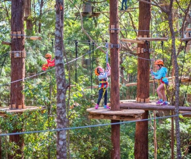 activity_detail_image