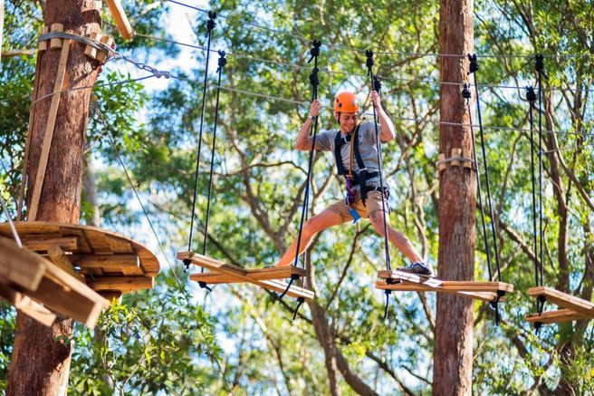 Coffs Harbour Treetops Adventure Experience