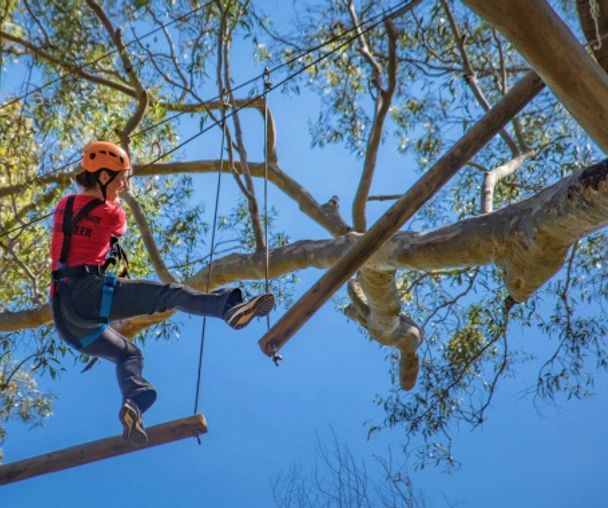 activity_detail_image