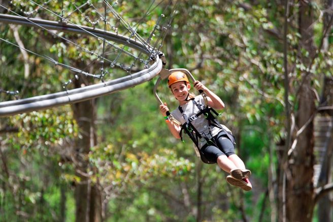 Western Sydney Treetop Adventure Experience