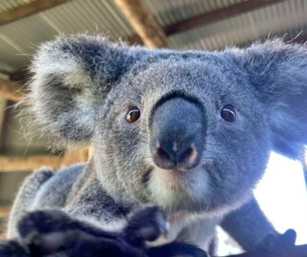 activity_detail_image