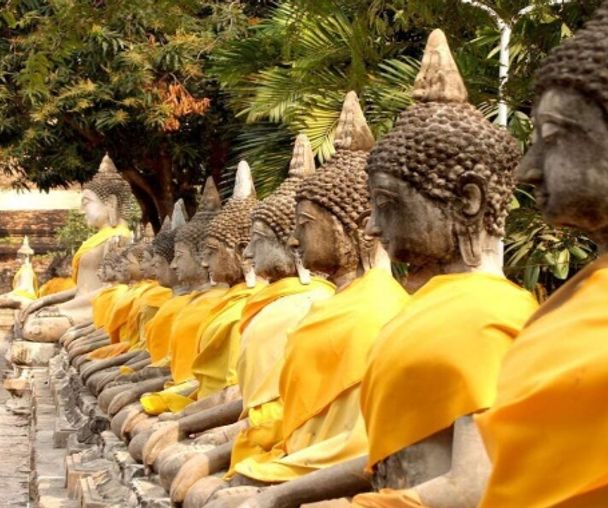 activity_detail_image