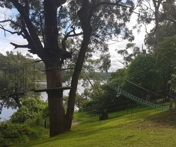 activity_detail_image