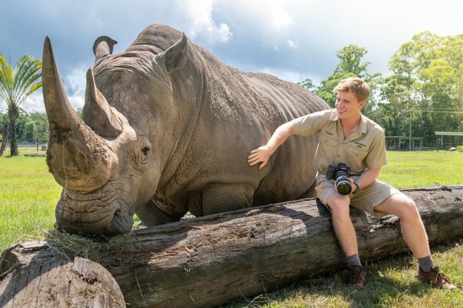 Australia Zoo Ticket & Brisbane Round-Trip Shuttle Package