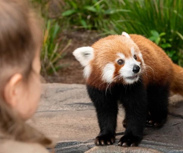 activity_detail_image